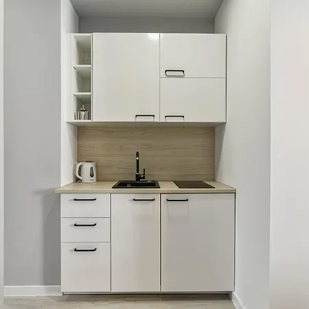 Ltc Haffnera 公寓 索波特