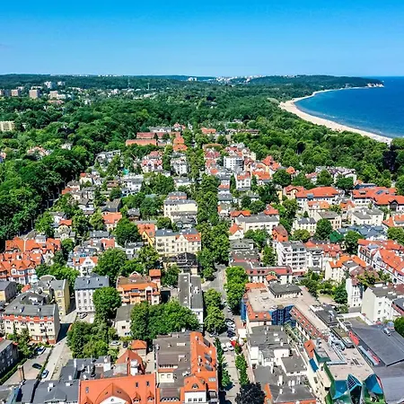 Ltc Haffnera * 索波特